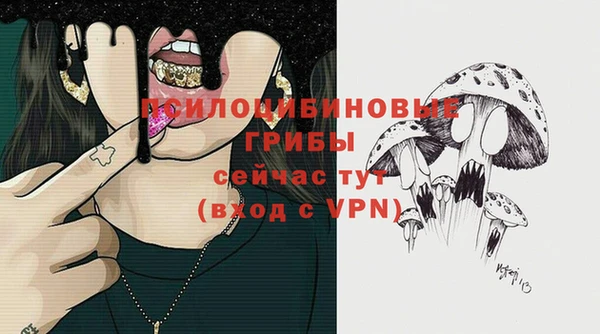 спайс Новодвинск